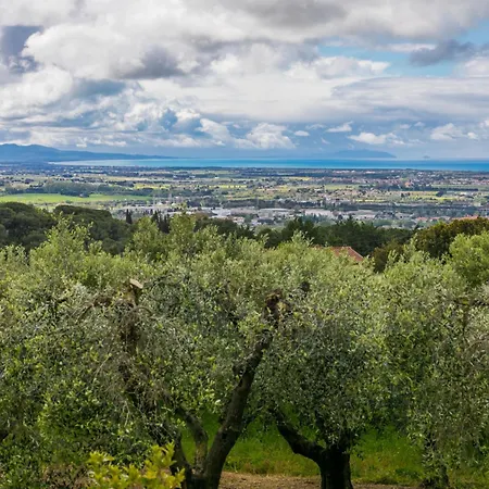 Podere La Maesta By Interhome Lejlighed *